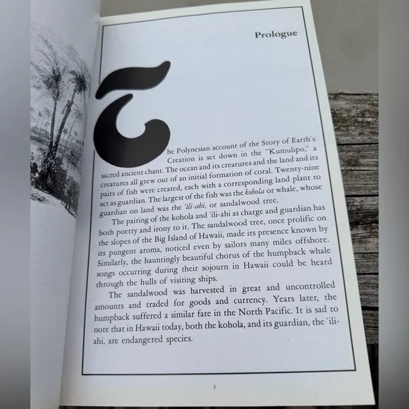 Book Hawaii’s Humpback Whales A Complete Whalewatchers Guide Softcover - Picture 11 of 13